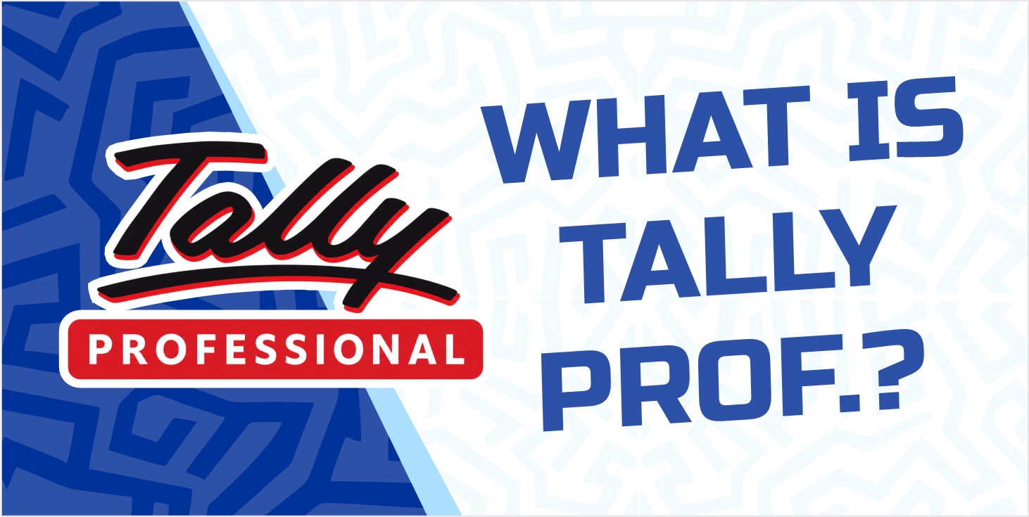 What Is Tally Professional?