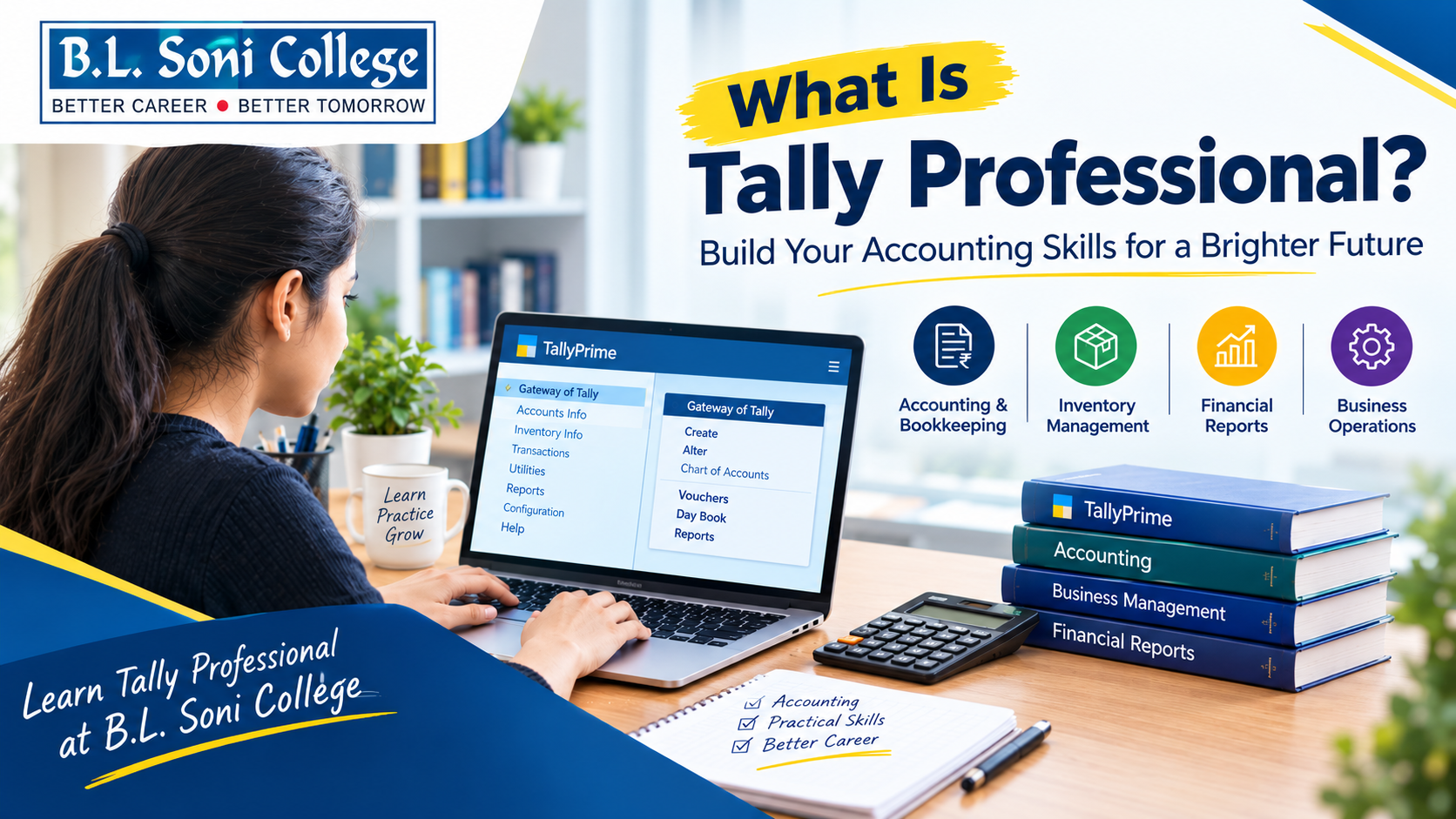 What Is Tally Professional?